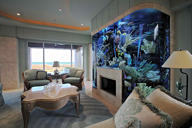 Fireplace Aquarium from Seavisions