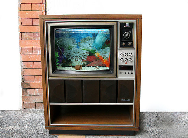 Old TV Fish Tank