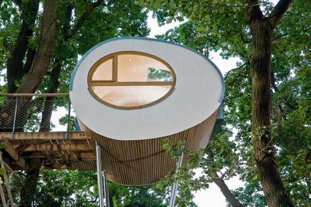 Modern Tree House