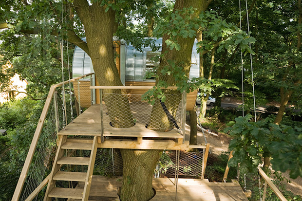 Modern Tree House