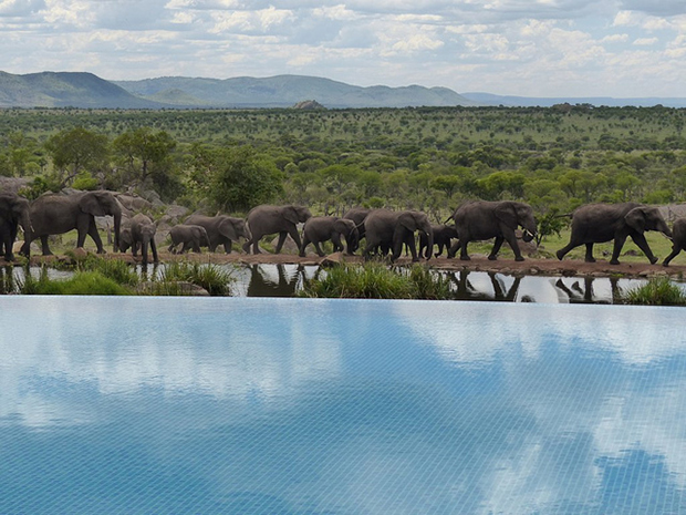 Four Seasons Safari Lodge Pool