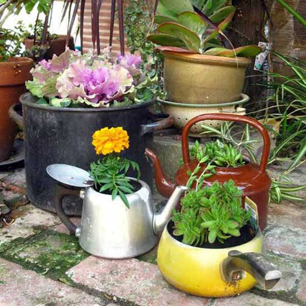 kettle planter