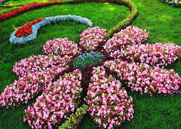 Floral Garden Layout