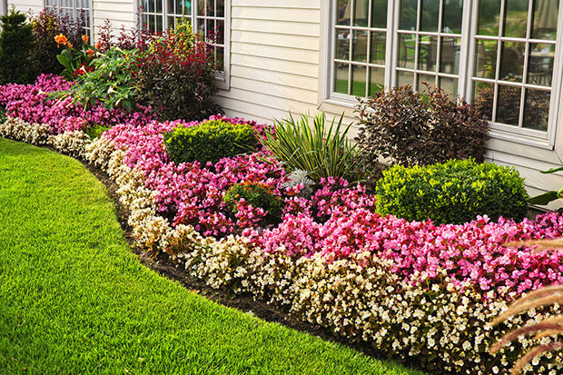 Perennial Flower Bed