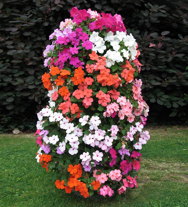 Vertical Flower Tower