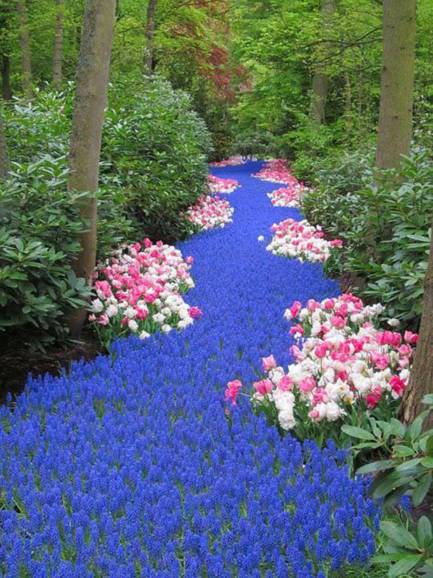 River of Flower