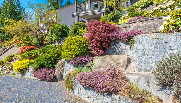 Terraced Garden