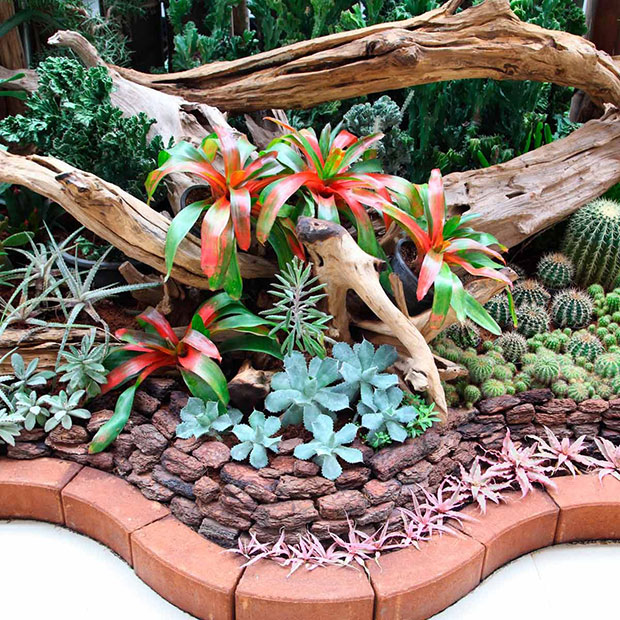 Succulents Flower Bed