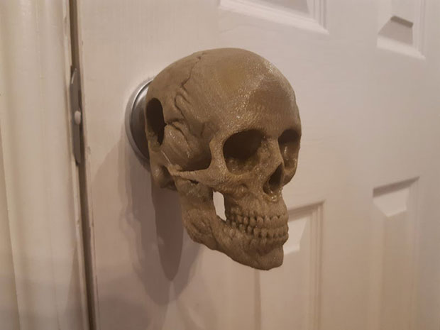 3D Printed Human Skull
