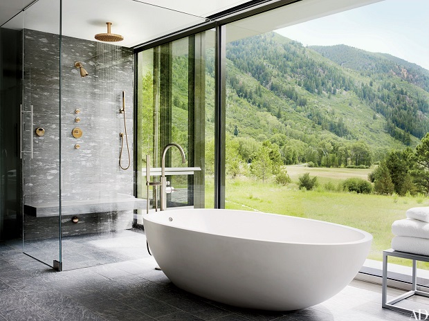 Bathtub View