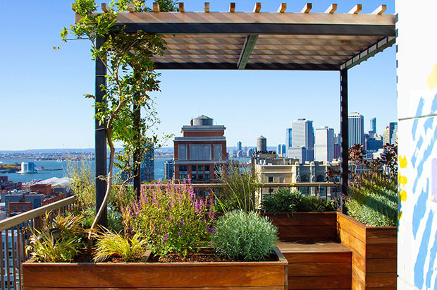 Tropical Rooftop Garden