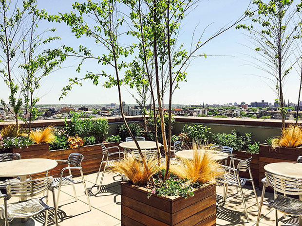Greenpoint Roof Terrace