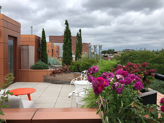 Cobble Hill Townhouse Rooftop