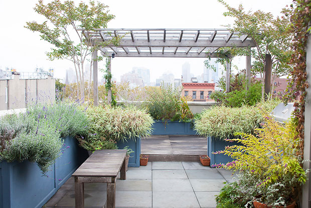 55 Relaxing Rooftop Garden Ideas For The Plant-Lovers - Viral Homes