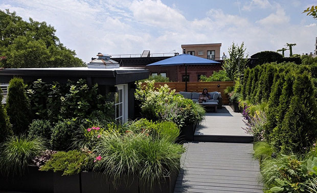 Park Slope Roof Garden