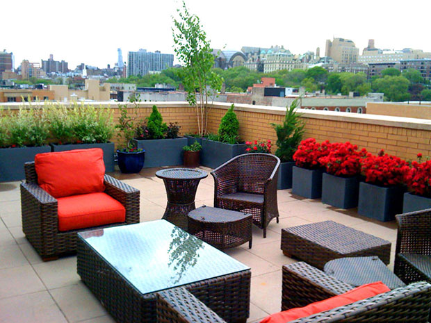 Contemporary Roof Garden in Harlem