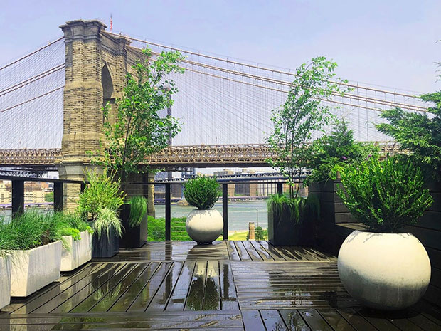 Brooklyn Rooftop Garden