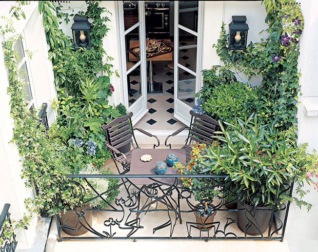 Balcony Garden