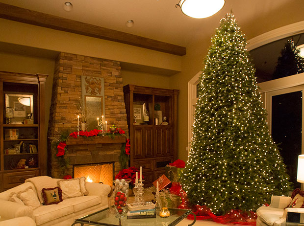 40 Eye-Catching Christmas Tree Designs This Holiday Season - Viral Homes