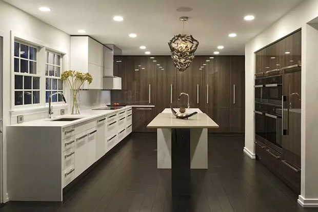 Contemporary Kitchen