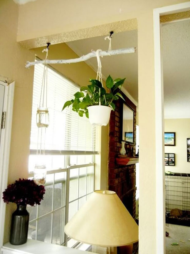 DIY Rustic Branch Hanger